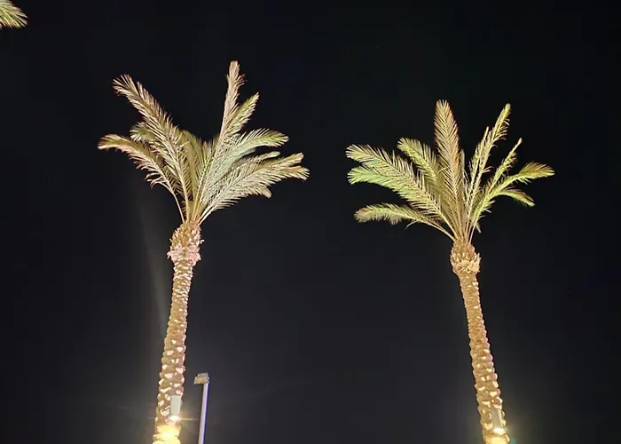Daire Florenza Khamsin Sea Front